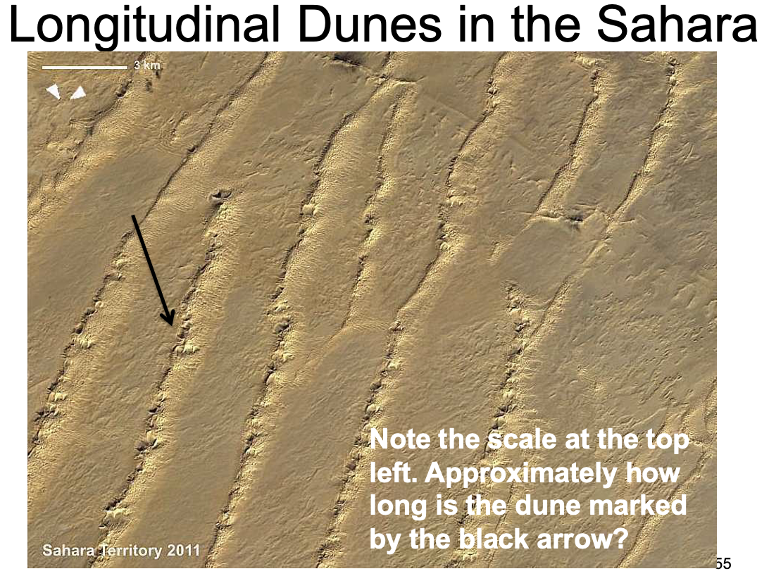 <p>Form parallel to the wind direction, wind - north to south, limited sand supply, aka linear dunes </p>