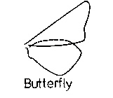 <p>Amplexiform Coupling</p>