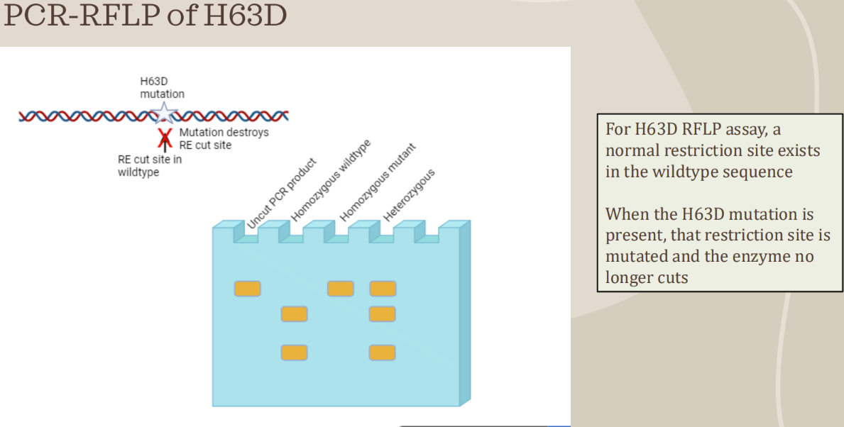 <p>What is used to detect HFE variants</p>