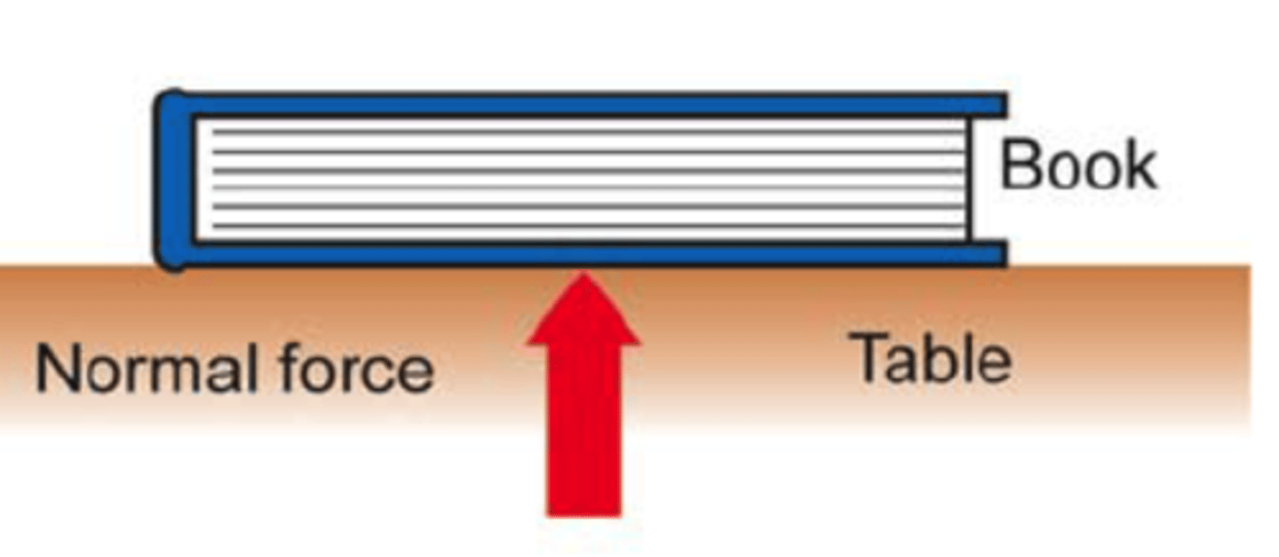 <p>supporting force, perpendicular to the surface</p>