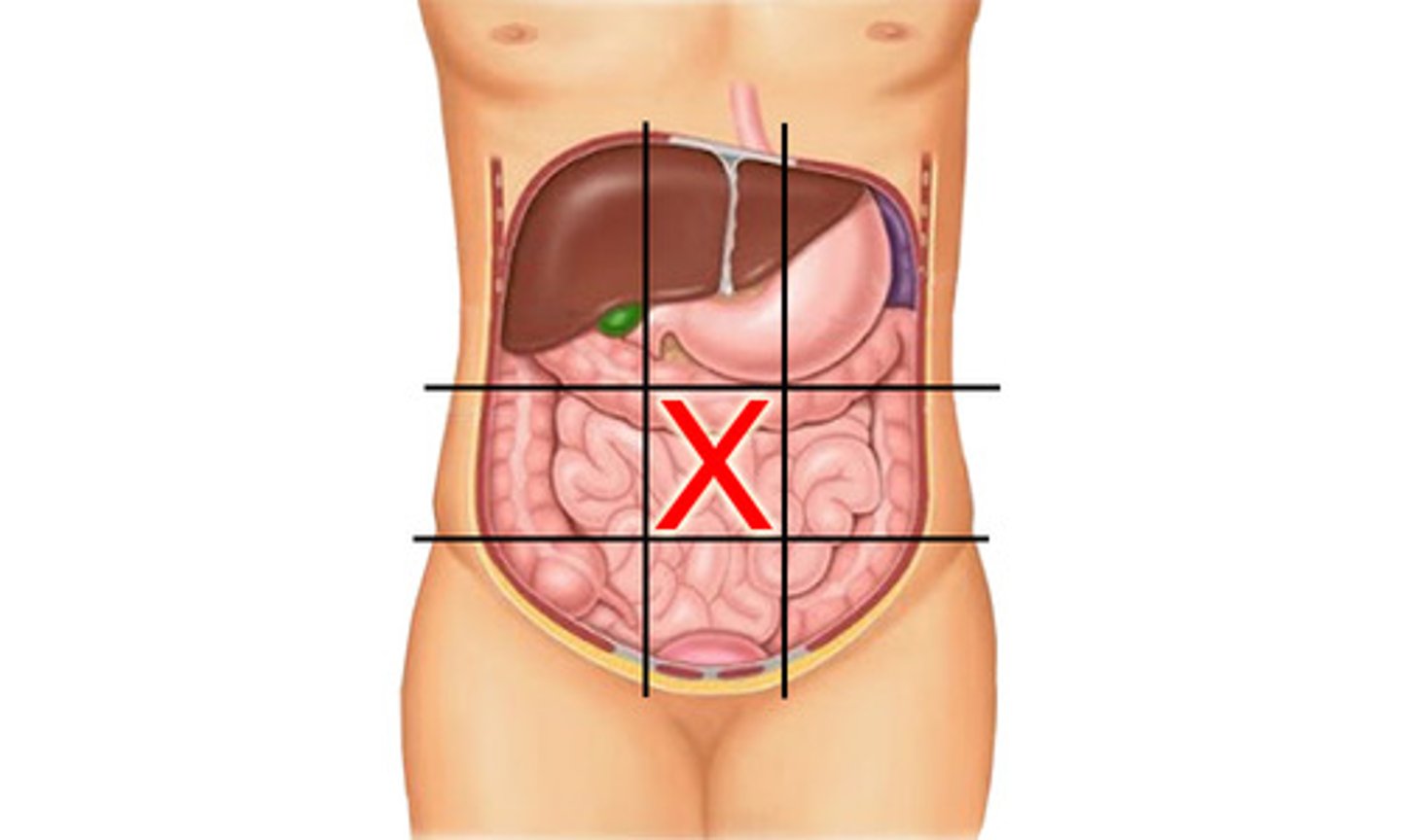 knowt flashcard image