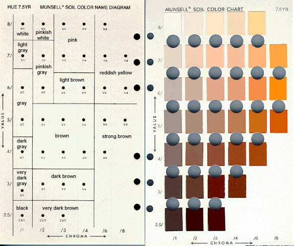 <p>a series of charts published by the Munsell Color Company for the standardized identification and description of colors</p><ul><li><p>color is divided into three components, hue, value, and chroma, and individual shades, tints, and tones are represented by rows of small color chips</p></li></ul><p></p>