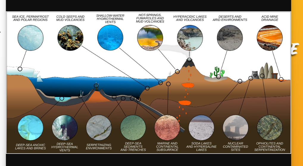 <p><span style="color: #000000"><strong> Halophiles</strong> – Microbes adapted to live and grow only in <strong>high salinity</strong></span><span style="color: #000000"><br></span><span style="color: #000000">(hypertonic), about <strong>5 – 15%. Most are Archaea, but some are bacteria.</strong></span></p><p><span style="color: #000000"><br></span><span style="color: #000000"><strong>Extreme Halophiles</strong> – Microbes that can only grow in <strong>15% - 30% saline</strong></span><span style="color: #000000"><strong><br></strong></span><span style="color: #000000"><strong>environments </strong>(like the Dead Sea and the Great Salt Lake).</span></p><p><span style="color: #000000"><br></span><span style="color: #000000"><strong>Halotolerant</strong> – Microbes that can survive and grow in slightly<strong> higher saline</strong></span><span style="color: #000000"><strong><br></strong></span><span style="color: #000000"><strong>environments</strong>, from 0 - 11% salinity</span></p><p><span style="color: #000000"><br></span><span style="color: #000000"><strong>Osmophile</strong>s – Microbes that can tolerate<strong> very high sugar concentrations</strong></span><span style="color: #000000"><br></span><span style="color: #000000">(high osmotic pressures). Water activity is not always determined by salt.</span><span style="color: #000000"><br></span><span style="color: #000000">Water activity only relates to the solute concentration (and solutes can be</span><span style="color: #000000"><br></span><span style="color: #000000">salt, sugars, amino acids, or other molecules).</span><span style="color: #000000"><br></span><span style="color: #000000">Microorganism classification for osmotic conditions</span><span style="color: #000000"><br><br></span><span style="color: #000000"><em><mark data-color="purple" style="background-color: purple; color: inherit">*Halotolerant bacteria like S. aureus and B. cereus can grow in salty foods, produce</mark></em></span><span style="color: #000000"><em><mark data-color="purple" style="background-color: purple; color: inherit"><br></mark></em></span><span style="color: #000000"><em><mark data-color="purple" style="background-color: purple; color: inherit">toxins, and cause food poisoning.*</mark></em></span></p><p><span style="color: #000000"><br></span></p>