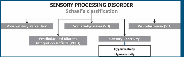 <p>Developed from patterns of SPD that compares atypical people to normal kids. It’s classification is based on the Ayres Sensory Integration Test and the Sensory Integration and Praxis Test </p>