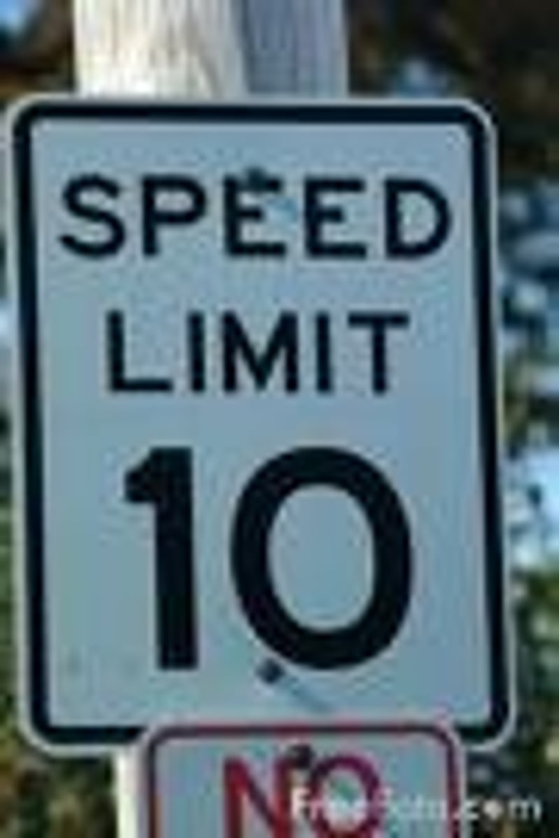 <p>10</p>