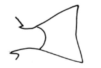 <p>What fin shape is this?</p>