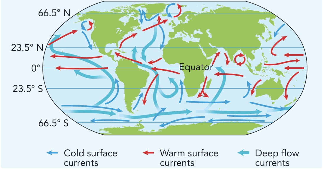 <p>driven by warm/cool air and the placement of the continents</p>