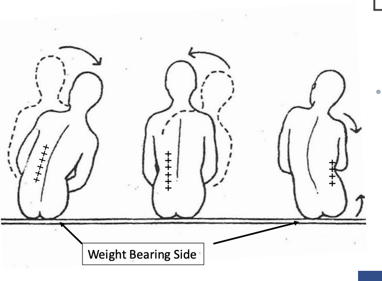 <ol><li><p><strong><u>leading with the shoulder to the right</u></strong></p></li></ol><ul><li><p><strong><u>weight-shift</u></strong> to the <strong><u>right</u></strong></p></li><li><p><strong><u>eccentric contraction</u></strong> of the <strong><u>left</u></strong> (so you <strong><u>don’t fall over</u></strong>)</p></li><li><p><strong><u>left</u></strong> side is <strong><u>elongating</u></strong></p></li><li><p><strong><u>right</u></strong> side is <strong><u>shortening</u></strong></p></li></ul><ol start="2"><li><p><strong><u>going to sit back up</u></strong></p></li></ol><ul><li><p><strong><u>concentric activation</u></strong> of the <strong><u>left</u></strong> (to <strong><u>actively come back up</u></strong>)</p></li></ul><ol start="3"><li><p><strong><u>hip hike of the right</u></strong></p></li></ol><ul><li><p><strong><u>concentric activation</u></strong> of the <strong><u>right side to lift it up</u></strong></p></li><li><p><strong><u>weight shift</u></strong> to the <strong><u>left</u></strong></p></li><li><p><strong><u>right</u></strong> side is <strong><u>shortening</u></strong></p></li><li><p><strong><u>left</u></strong> side is <strong><u>lengthening</u></strong></p></li></ul><p></p>