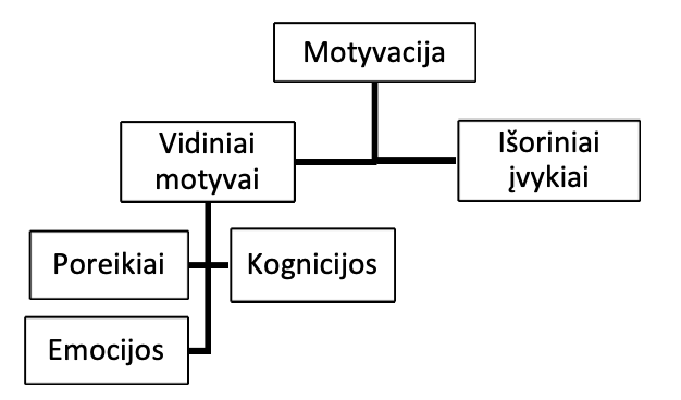 <ol><li><p>Vidiniai motyvai (poreikiai, emocijos, kognicijos)</p></li><li><p>Išoriniai įvykiai</p></li></ol>