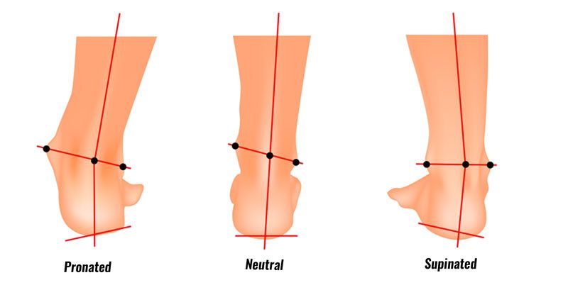 <p>What axis?</p><p>What 3 motions for Pronation?</p><p>What 3 motions for Supination?</p>