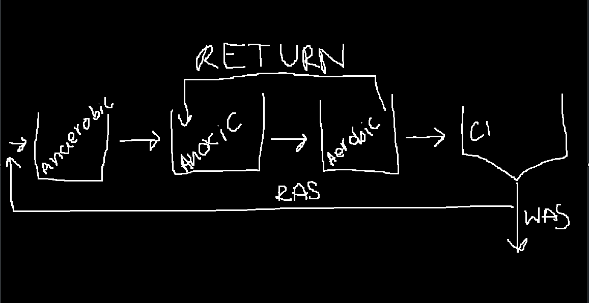 <ul><li><p>With return before exit, little to no nitrate makes its way to anaerobic. </p></li><li><p>This allows for Nitrification, Denitrification, and P removal </p></li></ul><p></p>