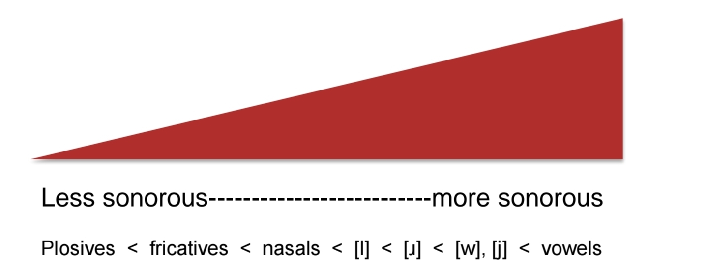 <p>sonority rises (in onset) towards nucleus (peak) then falls in coda</p>