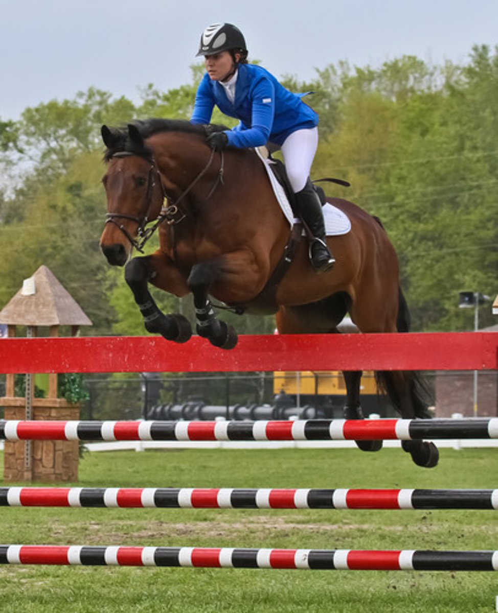 <p>imagethe sport of riding a horse and jumping over a set of fences as quickly as possible</p>