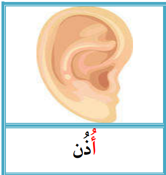 <p></p>