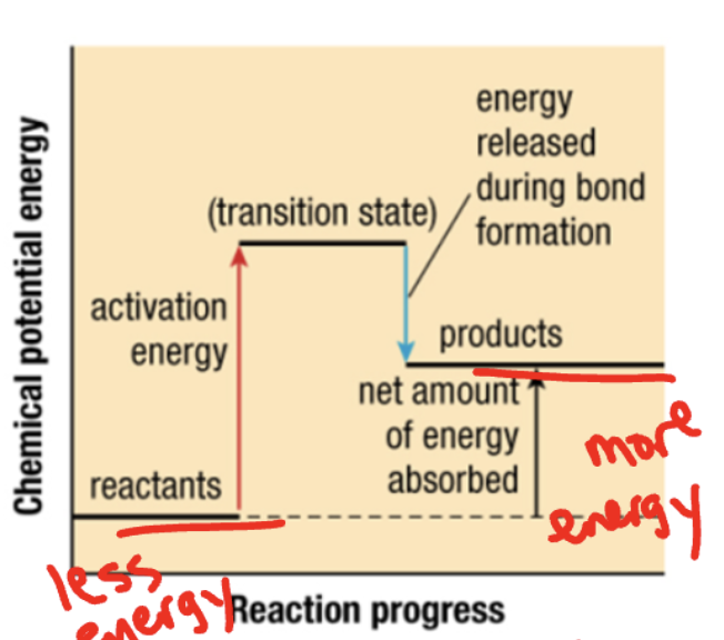 <p>what reaction energy</p>