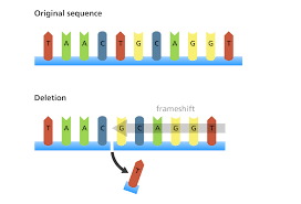 <p>What is the chromosomal abnormality of deletion?</p>