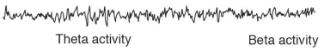 <p>A sleep phase characterized by increased brain activity and asynchrony in brain waves accompanied by muscle atonia </p>