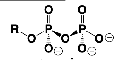 <p>What is the correct acronym?</p>