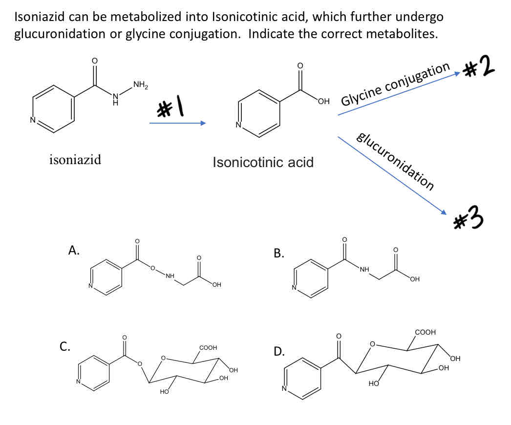 <p>Name the reaction (#1)</p>