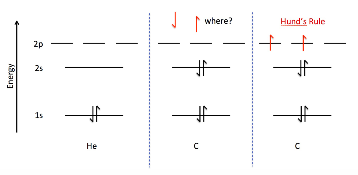 <p>For degenerate orbitals: Orbitals will fill to maximize the electron spin by filling each orbital with one electron with the same spin first, and then pairing each of those electrons up after.</p>