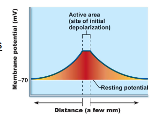 <ul><li><p>short distance, they die away quickly (short lived)</p></li></ul><p></p>