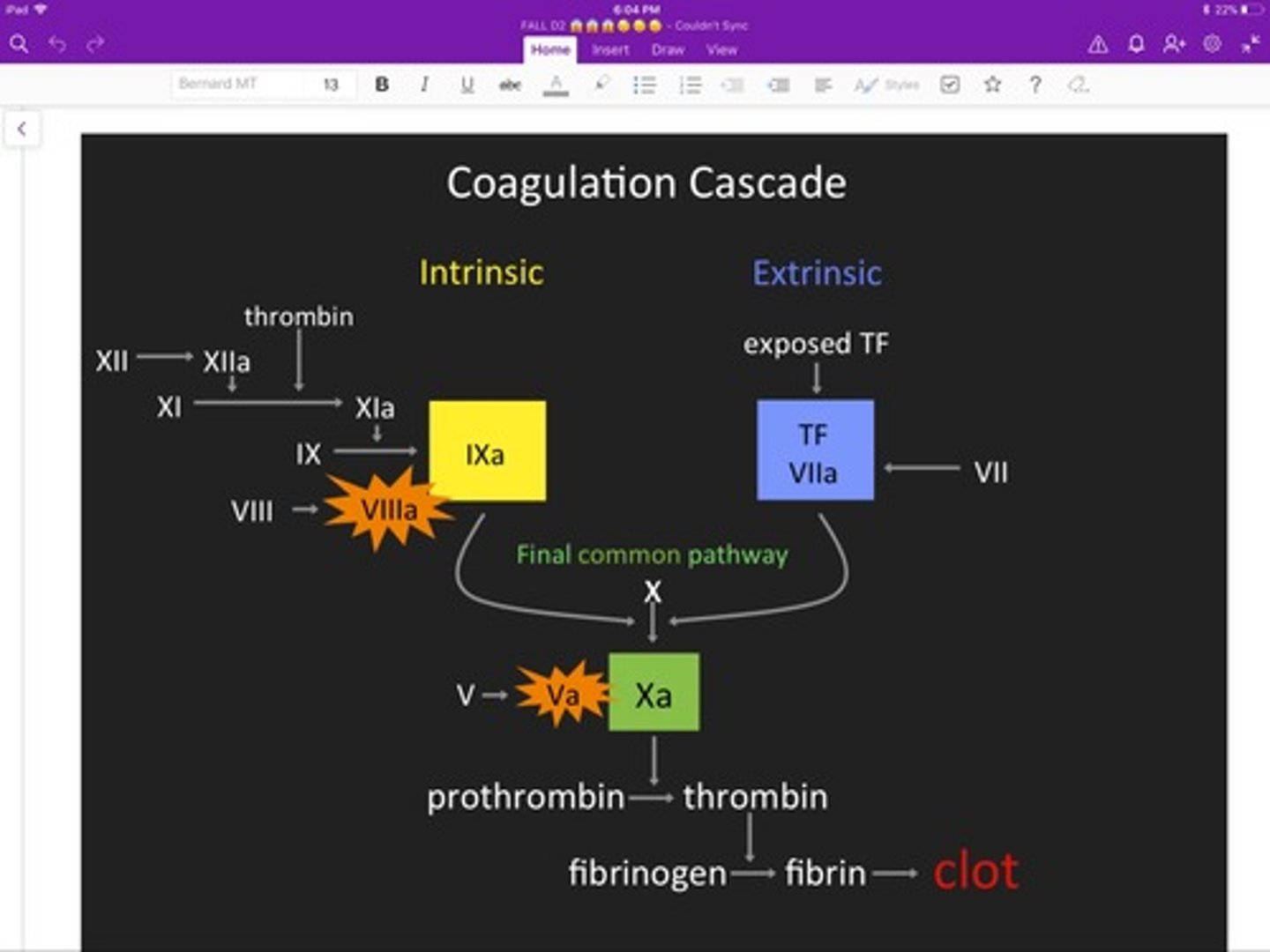 <p>Complex series of steps by which blood flow stops.</p>