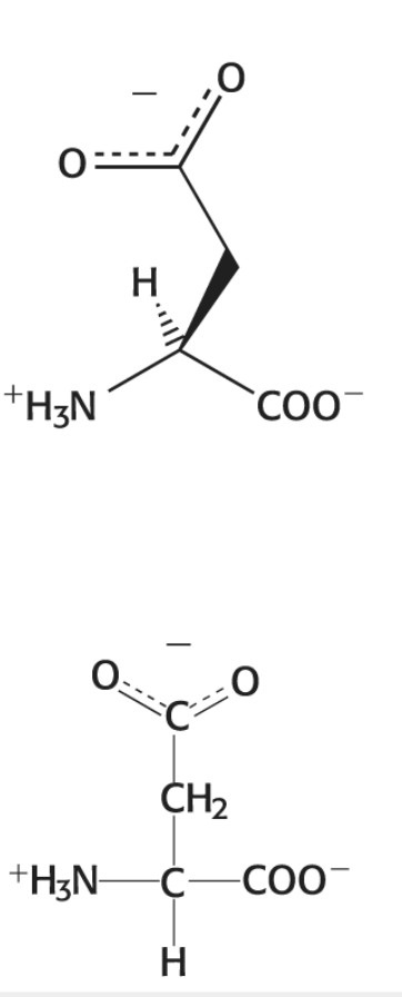 <p>Category: Negatively Charged </p>