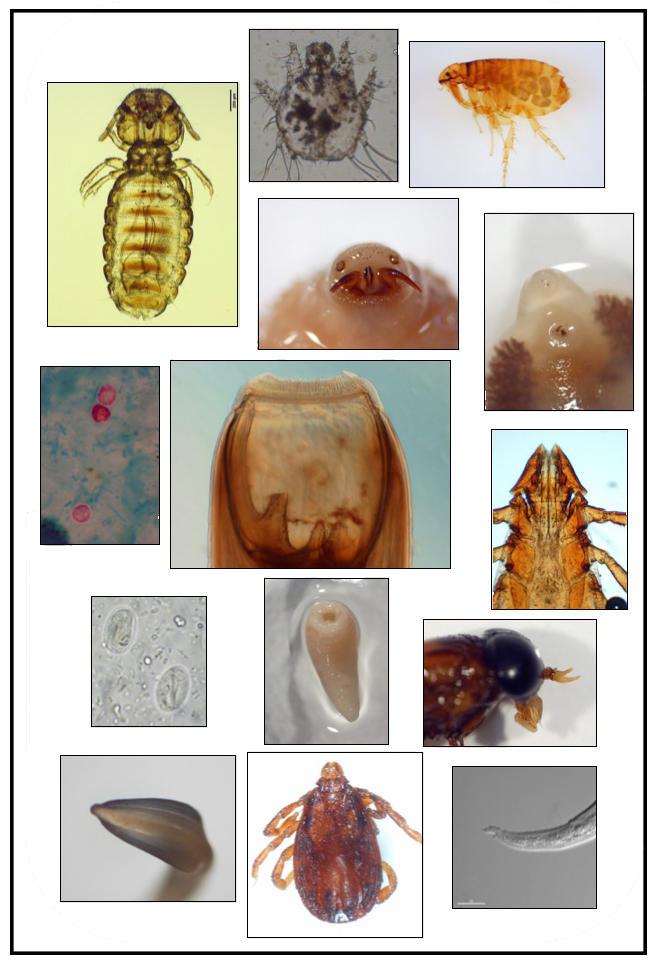 <p>What does arthropod mean? </p>