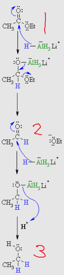 <p>What is number 3?</p>