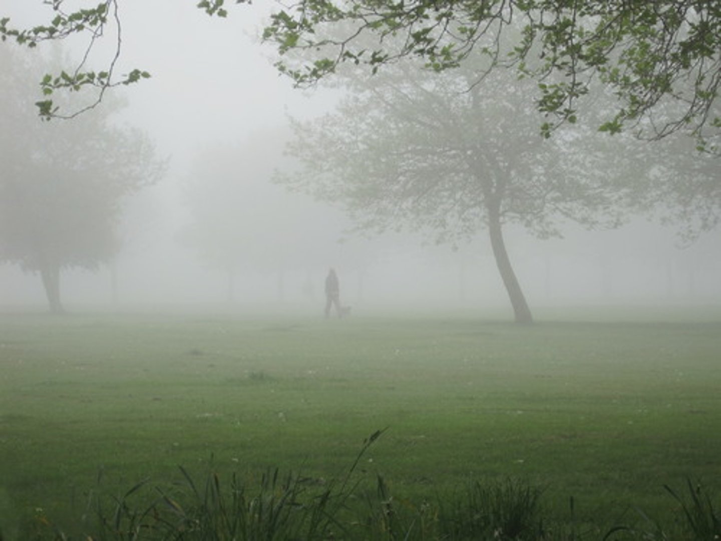 <p>Hay neblina</p>