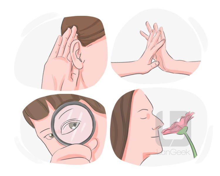 <p><strong>Sensation</strong>/<strong>Impression</strong></p>