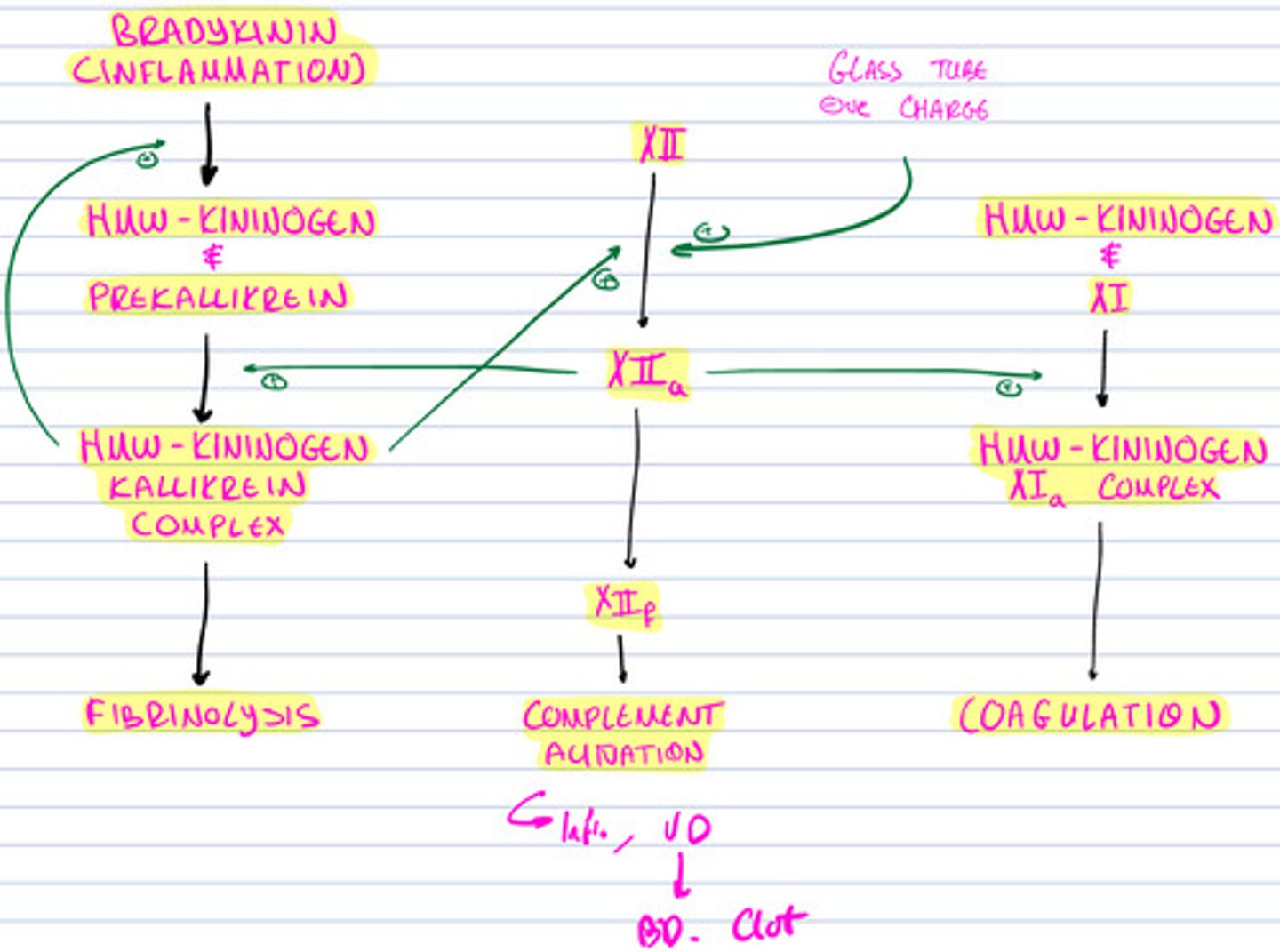 knowt flashcard image