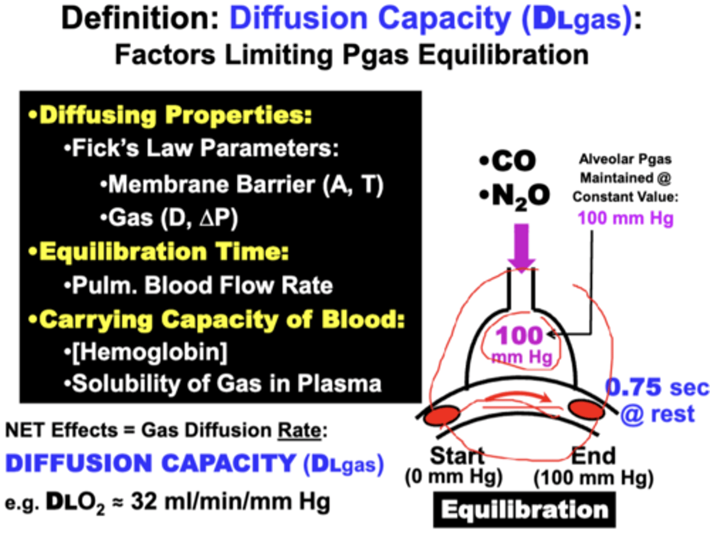 <p>1. Diffusing Properties</p><p>2. Time Allowed for Equilibration</p><p>3. Gas Carrying Capacity of Blood</p>
