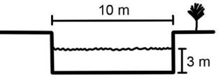 <p><span><span>The stream in the diagram flows at a velocity of 6 meters per second. Its discharge is:</span></span></p><p></p><ul><li><p>About 30 cms</p></li><li><p>About 600 cms</p></li><li><p>About 1800 cms</p></li><li><p>About 66 cms</p></li><li><p>About 180 cms</p></li></ul><p></p>