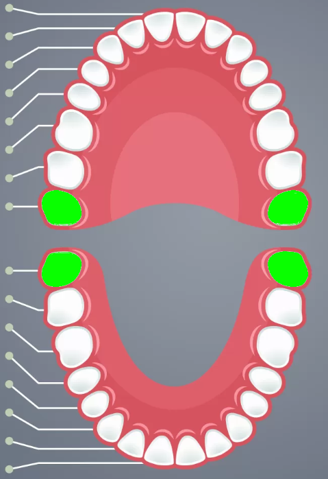 knowt flashcard image
