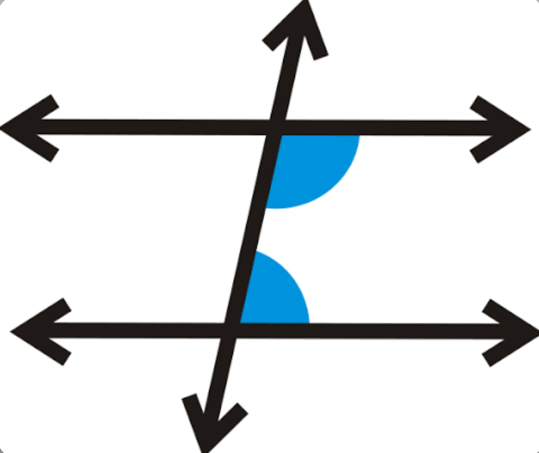 <p>2 angles that are on the same side of the transversal</p>