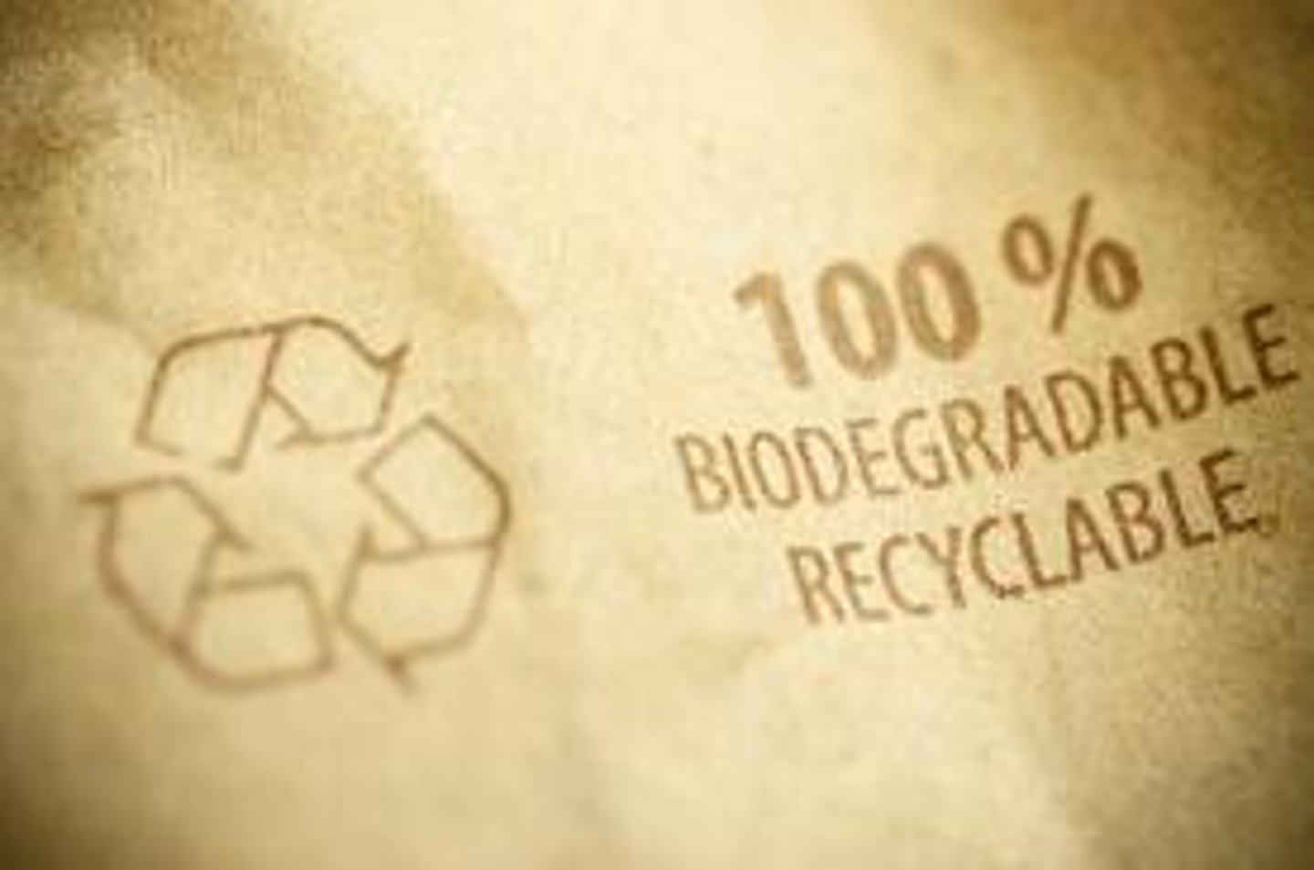 <p>a substance that can be decomposed by bacteria or other living organisms, and therefore does not cause pollution</p>