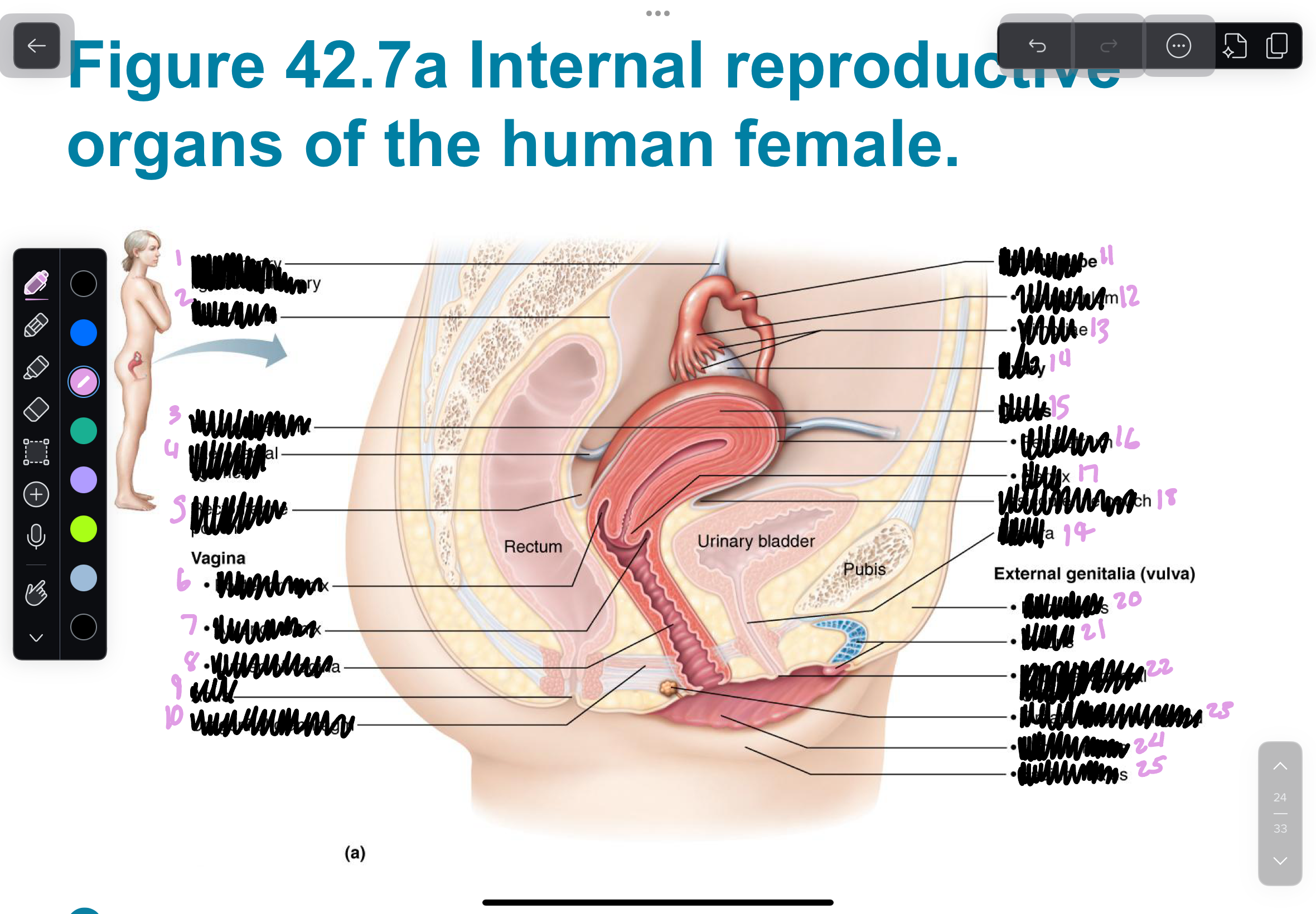 <p>18</p>