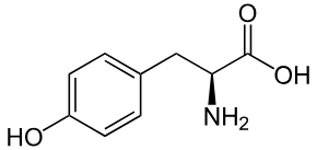 <p>Amino Acid?</p>