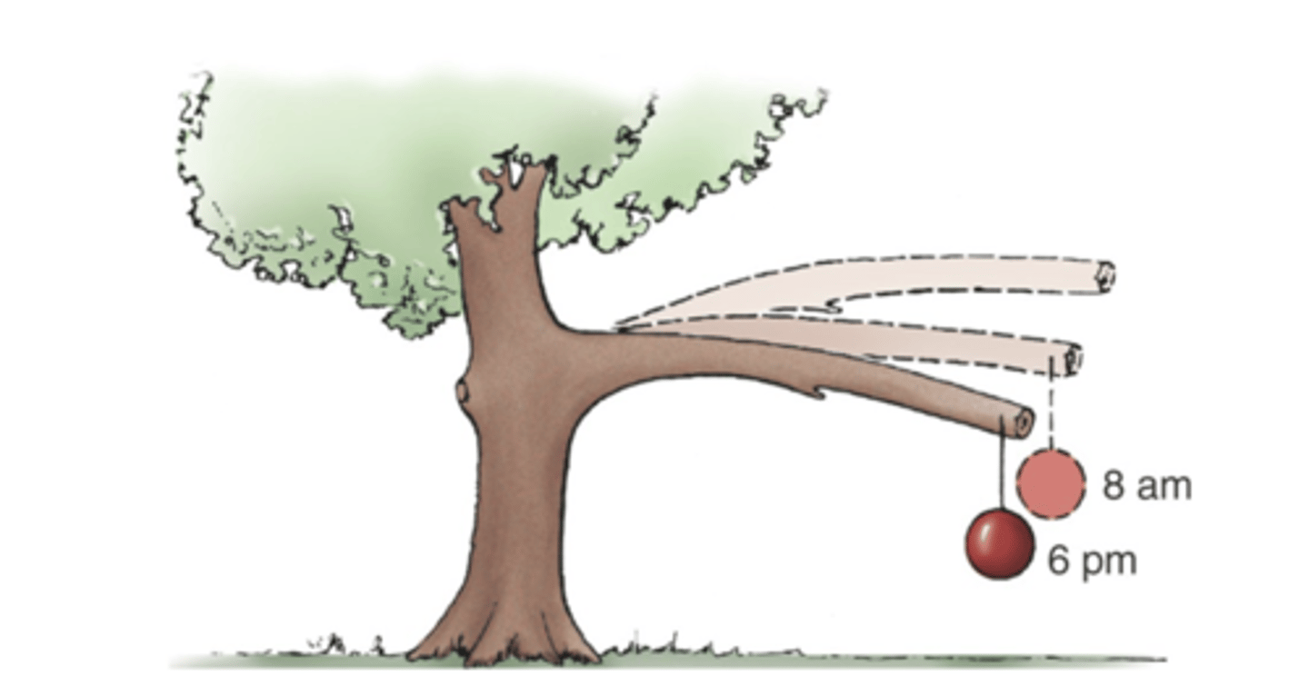 <p>continued deformation of a material over time as it is subjected to a constant load</p>