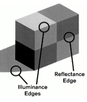 <p>reflectance and illumination edges.</p>
