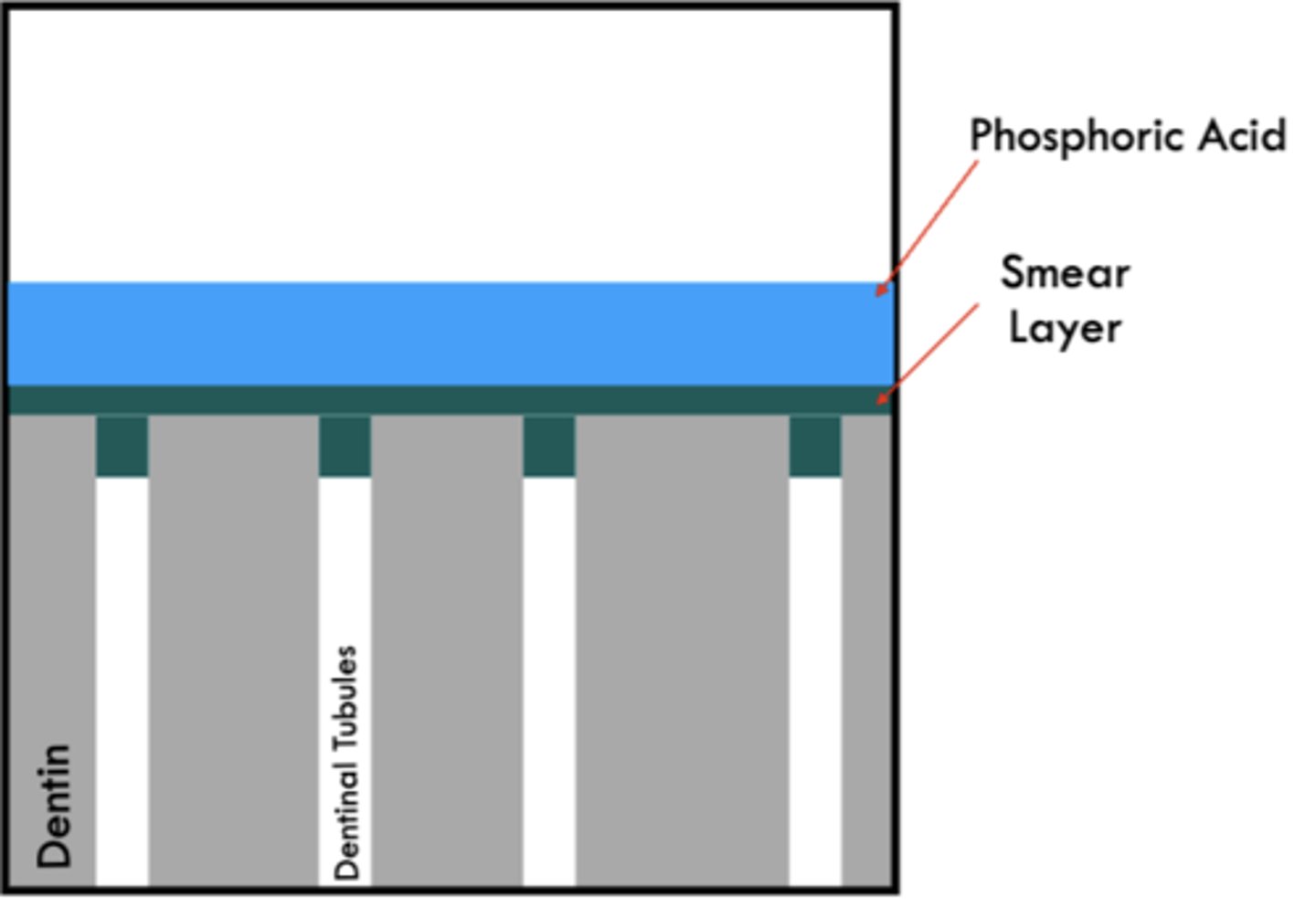 <p>hybrid layer</p>