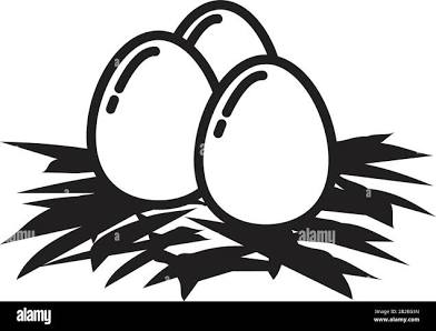 <p>Egg </p>
