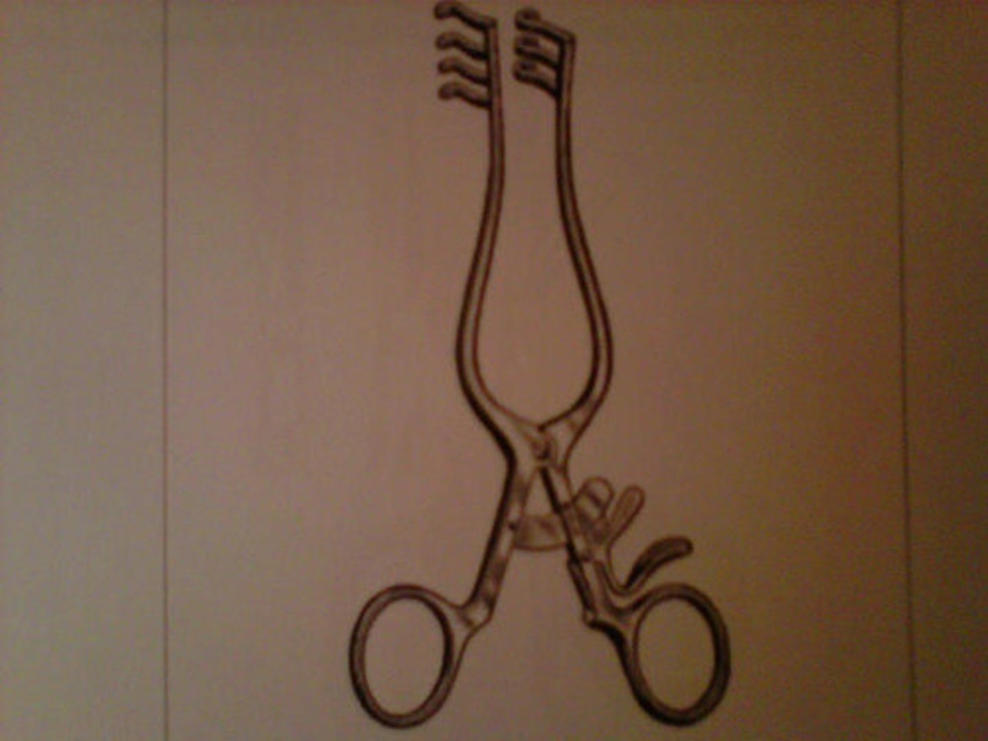 <p>Blunt prongs face out to hold tissue edges open. used in medium to large sized operative site.</p>