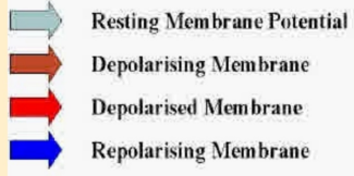 <p>Circumstances for Re-entry &amp; Circus Movement - <strong>Normal </strong>Conditions (2)</p>