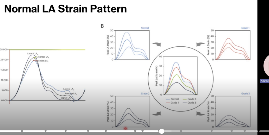 <p>which one is normal</p>