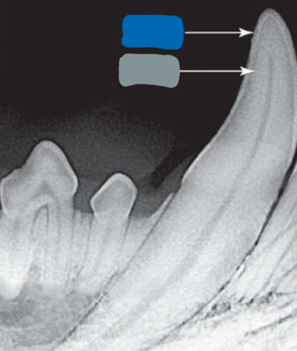 <p>What is the blue box in the image pointing to?</p>