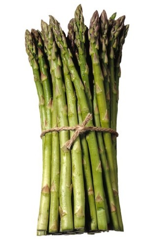 flowering plant that, when harvested, are skinny tubes with angled tops.