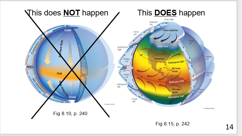 <p>explain what happens here</p>