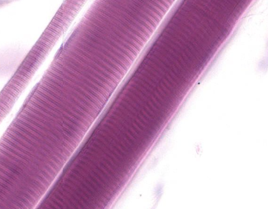 <p>What is this?</p>